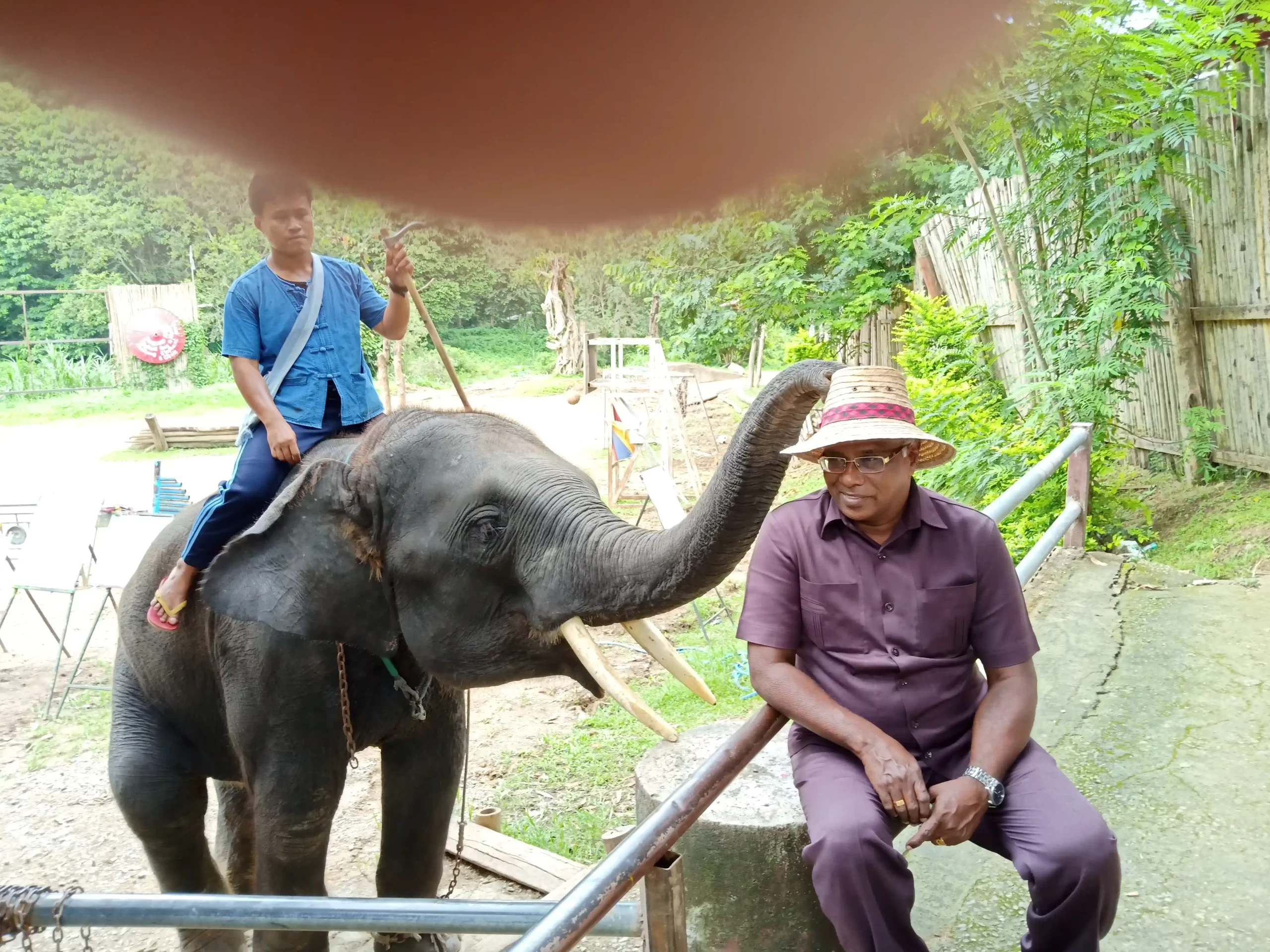 IMG20180710105649 P S SELWYN DEVADOSS DIRECTOR YMCA MADRAS THAILAND VISIT
